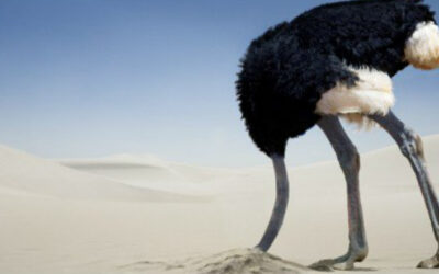 Will your Company’s Group Retirement Plan give you Enough?