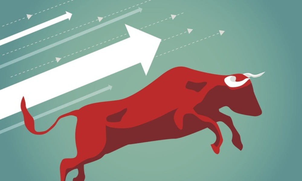 investor interest