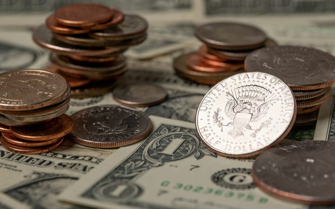 BRICS & De-dollarisation: the proposed new Currency