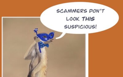 What’s a “phishing email”?
