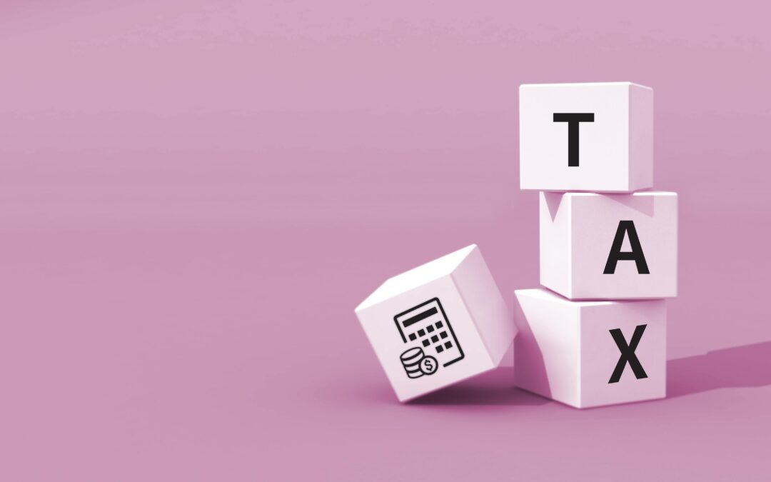 Budget 2025: South Africa’s Tax Blues