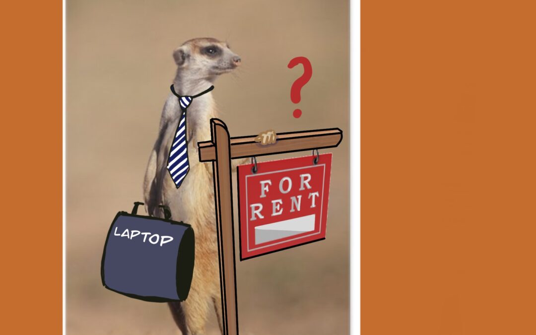 Property Rental Scam Case Study