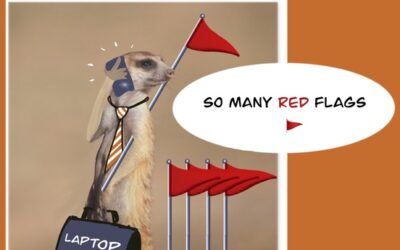 Red Flags to Watch Out for